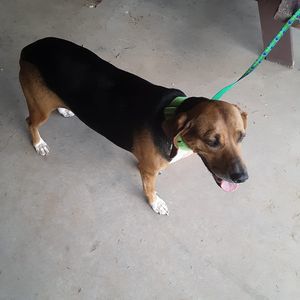 Meet your Posher, Mary